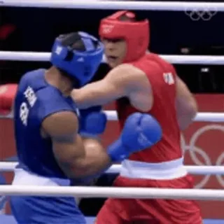 🥊 đấm bốc, thể thao, đánh nhau, vận động viên, thi đấu telegram sticker