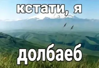🚩 кстати, я долбаеб 밈, 러시아, 텍스트, 산, 새 telegram sticker