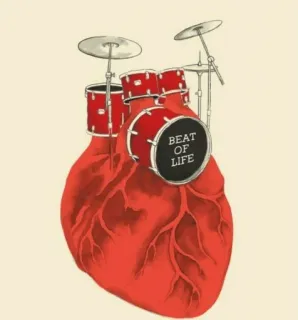 🎵 BEAT OF LIFE coeur, batterie, musique, rythme de vie, anatomie telegram sticker