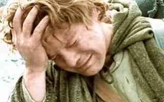 😭 Samwise Gamgee Lord of the Rings bedroefd, verdrietig, uitgeput, bezorgd, onrustig telegram sticker