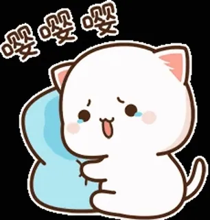 😰 嘤嘤嘤 gatto, piangendo, carino, kawaii, cartone animato, triste, animale telegram sticker