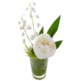 🌸 Blumen, Maiglöckchen, Pfingstrose, Blumenarrangement, Weiße Blumen, Glasvase telegram sticker