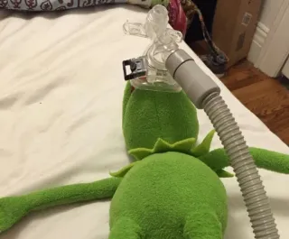😵 Kermit Kermit la Grenouille, PPC, Apnée du sommeil, Peluche, Muppets telegram sticker