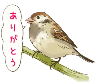 🐤 ありがとう птица, воробей, спасибо, животное, каваи whatsapp sticker
