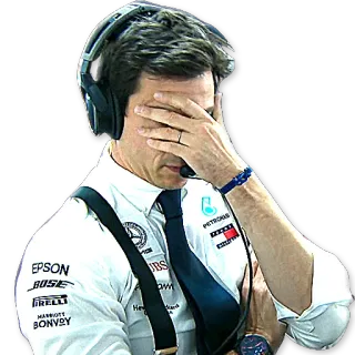 🙈 fórmula 1, automovilismo, decepción, facepalm, jefe de equipo whatsapp sticker