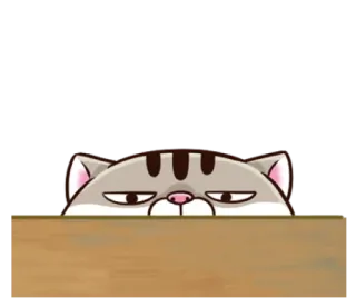 😶 고양이, 빼꼼, 동물, 만화, 스티커, 고양이과 telegram sticker