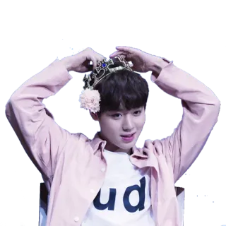 ❤️ kpop, корона, цветок, айдол, певец whatsapp sticker