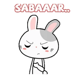 ๐ฎโ๐จ SABAAAR... coniglio, infastidito, cartone animato, carino whatsapp sticker