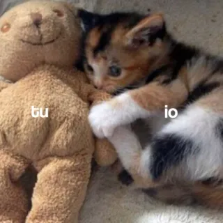 🖤 tu io gato, gatinho, ursinho de pelúcia, fofo whatsapp sticker