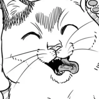 🖤 gato, animal, lengua, manga, pegatina, mascota whatsapp sticker