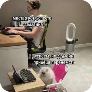 🫥 мистар кот, успеете до дедлайна? успеем, но дедлайн придёца перенемсти cat, gamer, deadline, memes, office, work, funny, gaming telegram sticker
