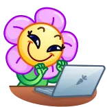 💻