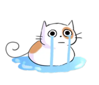 😭 chat, pleurer, triste, larmes, animal, mignon telegram sticker