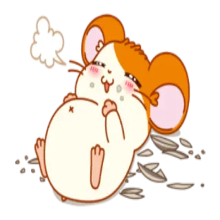 🍩 chuột hamster, dễ thương, hoạt hình, động vật, vui vẻ, kawaii telegram sticker