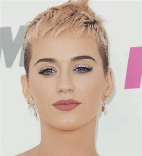 ☕ Katy Perry potret, selebriti, penyanyi, wanita, Katy Perry telegram sticker