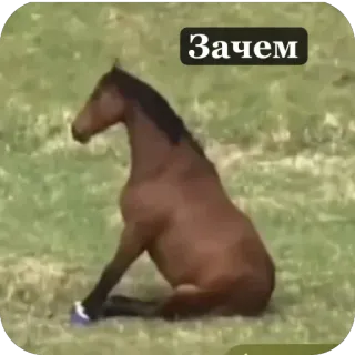 Почему telegram stickers