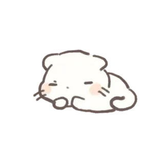 😨 kat, dier, schattig, slapen, huiskat telegram sticker