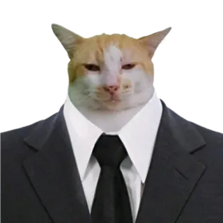 👨‍⚖️ 고양이, 정장, 밈, 웃긴, 동물, 애완동물, 비즈니스 telegram sticker