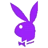 🐰
