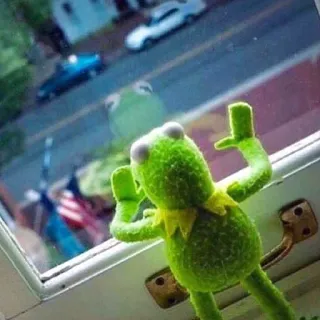 😪 Kermit 科米蛙, 中指, 冒犯, 表情包, 布偶 telegram sticker