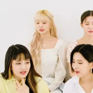 🐚 whatsapp sticker