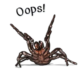 😢 Oops! spider, bug, insect, oops, error telegram sticker