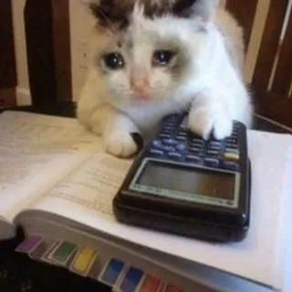 🌟 chat, calculatrice, triste, livre, étude telegram sticker
