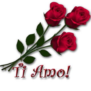 💘 Ti Amo! розы, красный, любовь, итальянский, романтический, цветы, цветочный telegram sticker