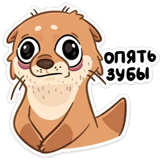 😬 Опять зубы นาก, น่ารัก, สัตว์, การ์ตูน, ตลก, สีหน้า whatsapp sticker