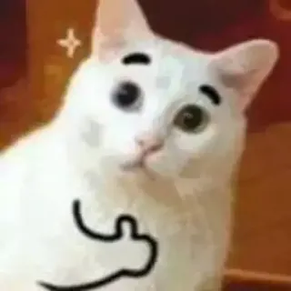 👍 chat, mème, animal, geste obscène, doigt d'honneur, dessin animé telegram sticker