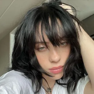 🍯 Billie Eilish Billie Eilish, penyanyi, musisi, potret, selebriti telegram sticker