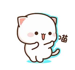 💃 猫 猫, 可爱, 动物, 卡哇伊, 桃子 whatsapp sticker