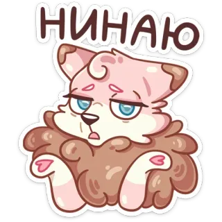 🤷‍♂️ НИНАЮ gato, animal, dibujos animados, lindo, peludo, mascota telegram sticker