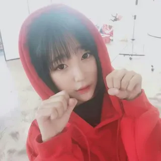 🌱 mujer, sudadera con capucha, lindo, retrato, interior, rojo, joven telegram sticker