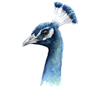 @wisdom_droplets A Animals — @stckrRobot telegram stickers