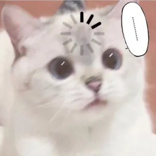 😕 ... cat, thinking, loading, cute, animal, meme telegram sticker