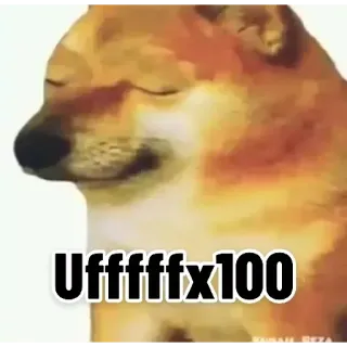 🙄 Ufffff x100 犬, ミーム, 動物, 面白い telegram sticker