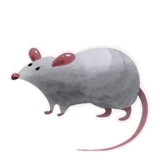 🐀 mysz, zwierzę, gryzoń, słodki, kreskówka, akwarela, naklejka whatsapp sticker