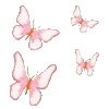 🦋