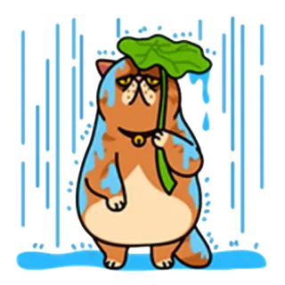 ☔ кот, грустный, дождь, лист, зонт, милый whatsapp sticker