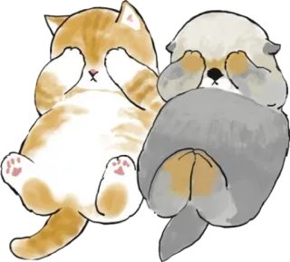 🙈 gatos, gatinho, fofo, animais, kawaii, esconder, brincar telegram sticker