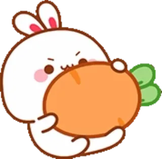 🐰 bunny, rabbit, carrot, cute, animal, cartoon telegram sticker