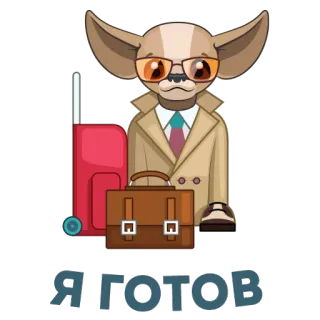 👌 Я готов cachorro, mala, óculos, viagem, pronto, desenho animado whatsapp sticker