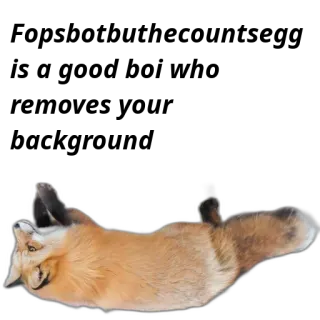 🦊 fox, animal, cute, wildlife, orange, mammal telegram sticker