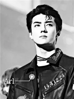 ✖ Arl
Braeder Person, Jacke, Kpop, Idol, Stil whatsapp sticker