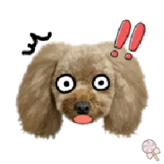 🐶 собака, щенок, мультфильм, лол, в шоке telegram sticker