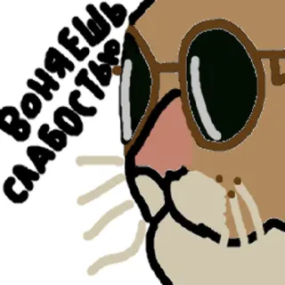🐱 ВОНЯЕШЬ СЛАБОСТЬЮ binatang, kartun, kacamata telegram sticker