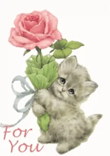 🌷 For You gatito, gato, rosa, flor, lindo, saludo telegram sticker