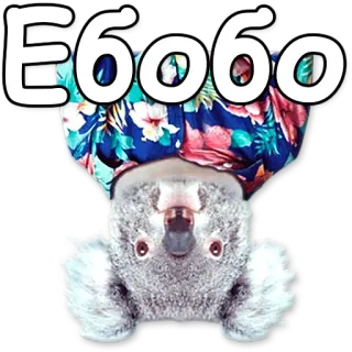 💫 Εσύσο koala, à l'envers, floral, animal, mignon telegram sticker
