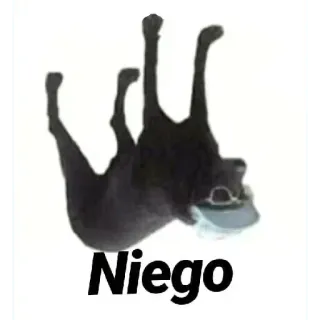 👎 Niego 狗, 动物, 可爱, 搞笑 whatsapp sticker